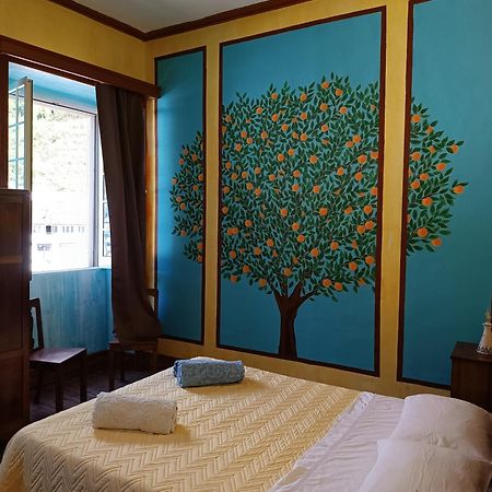 Apartamento Avo Da Rosa 2 Faial da Terra Exterior foto